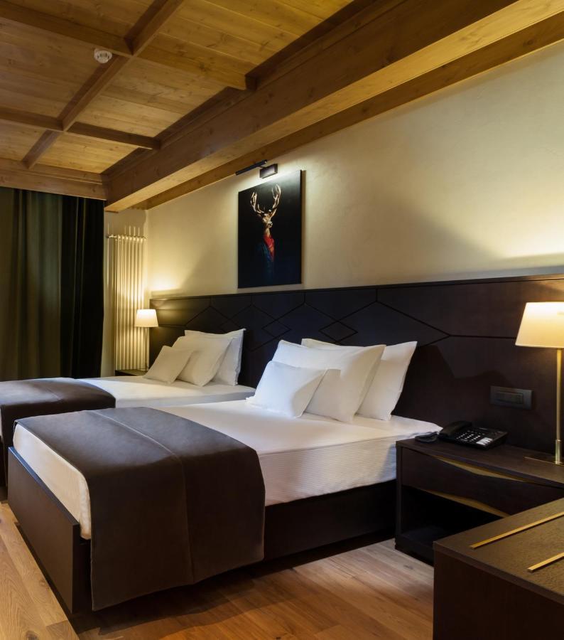 Ana Hotels Bradul Пояна-Брашов Экстерьер фото